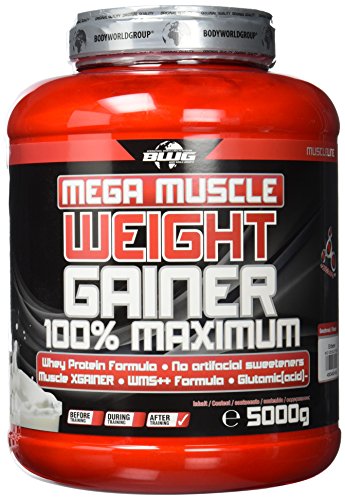 BWG Mega Muscle Weight Gainer 100% Maximum – perfekt für HardGainer und Massephasen – Kraftaufbau – Mega Strawberry – Dose mit Dosierlöffel – (1x 5000g Dose)